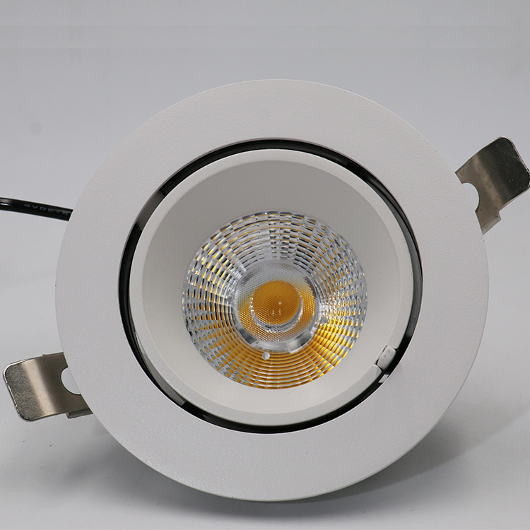 Hot Sale Hotel Down Lighting Fixture Aluminum Recessed Adjustable Anti Glare 30W COB LED Downlight