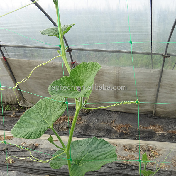 10M x 1M Agriculture Plant Support Net