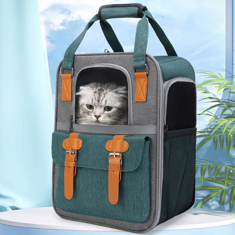 Custom logo foldable doggy cat bagpack carrier backpack for travel