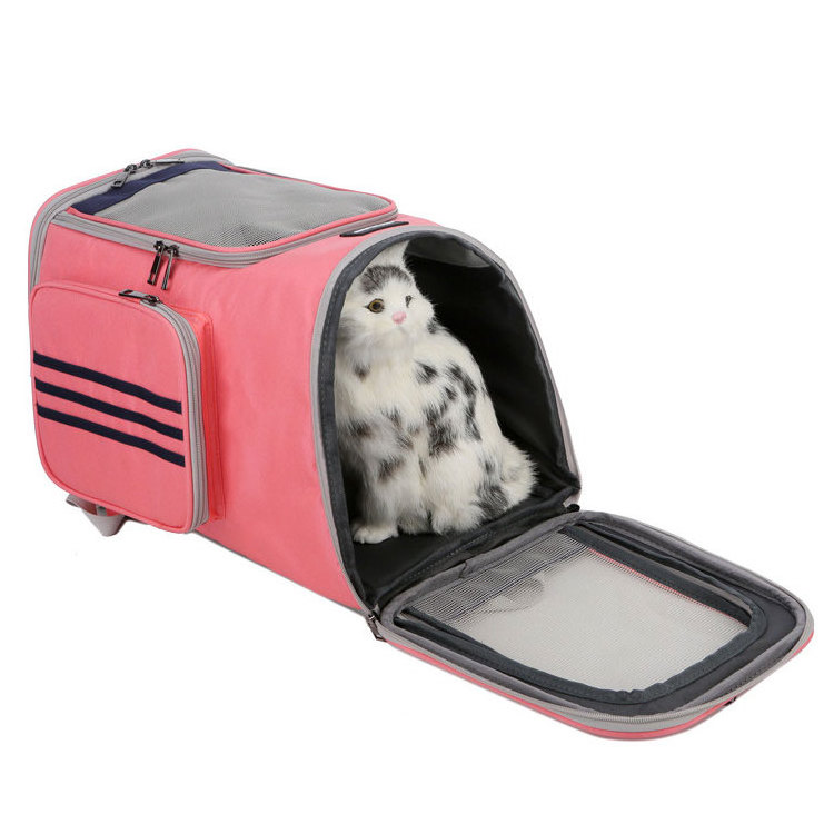 Modern style fashion cat backpack large capacity pet dog carrier backpack