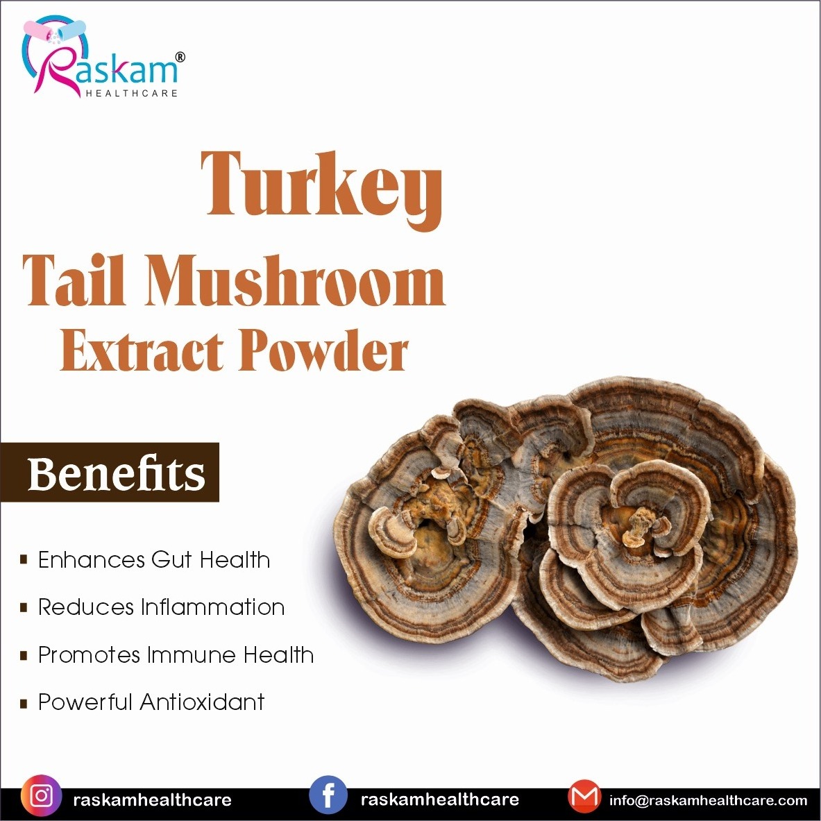 Factory Supplier OEM / ODM Private Label Dietary Supplement Turkey Tail Mushroom Extract Powder