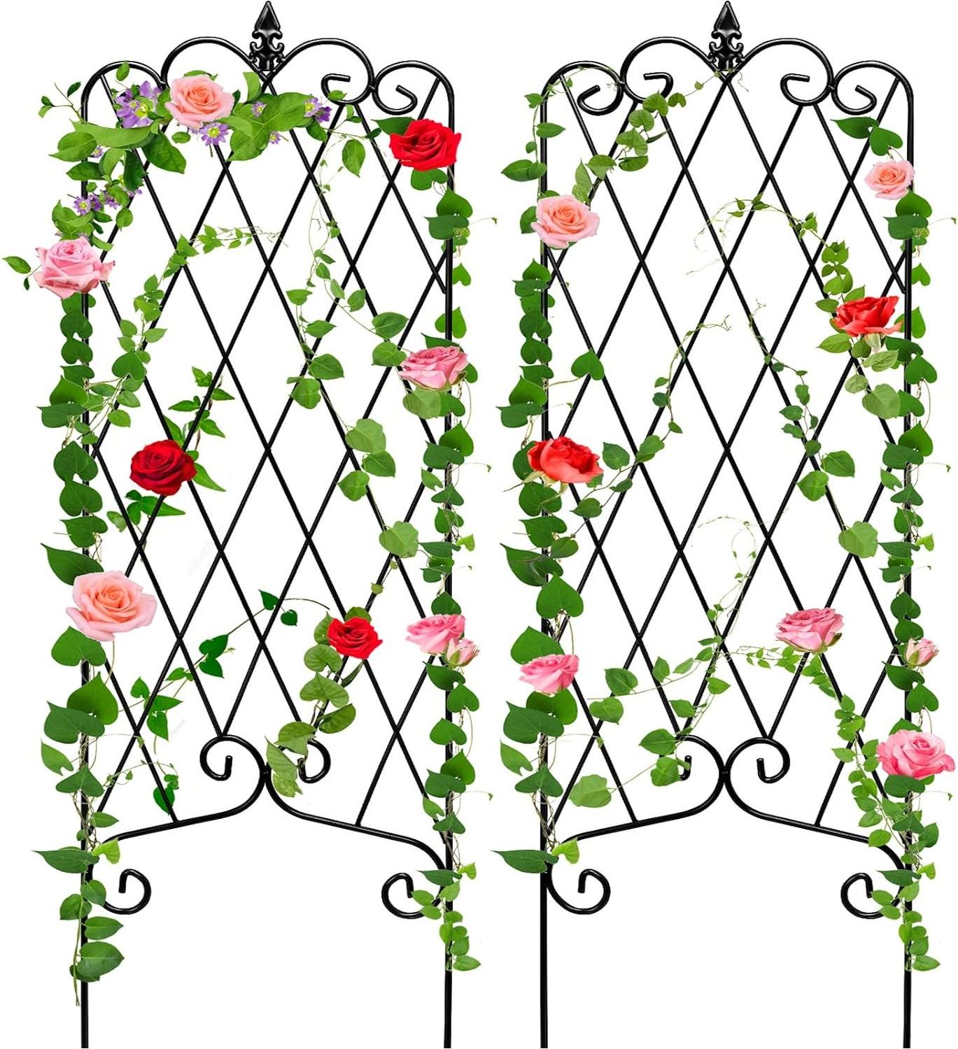 Garden Trellis for Climbing Plants Rustproof Black Iron Potted Vines Vegetables Vining Flowers Patio Metal Wire Lattices Panels