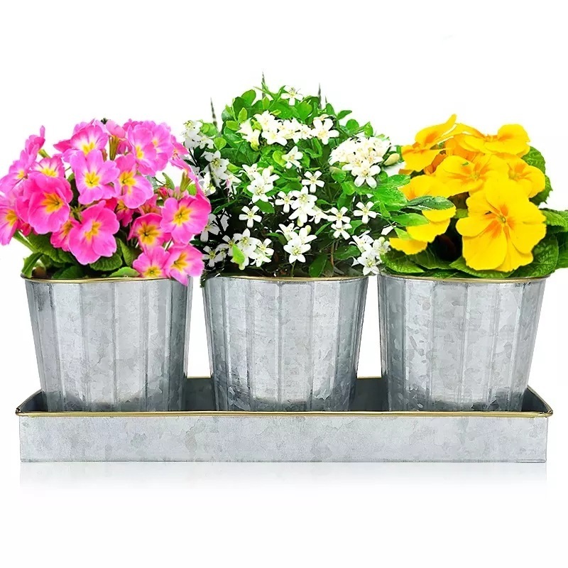 Planters manufacturers decoration big long natural metal flower pot planter galvanized bucket tin tall garden vase with handles