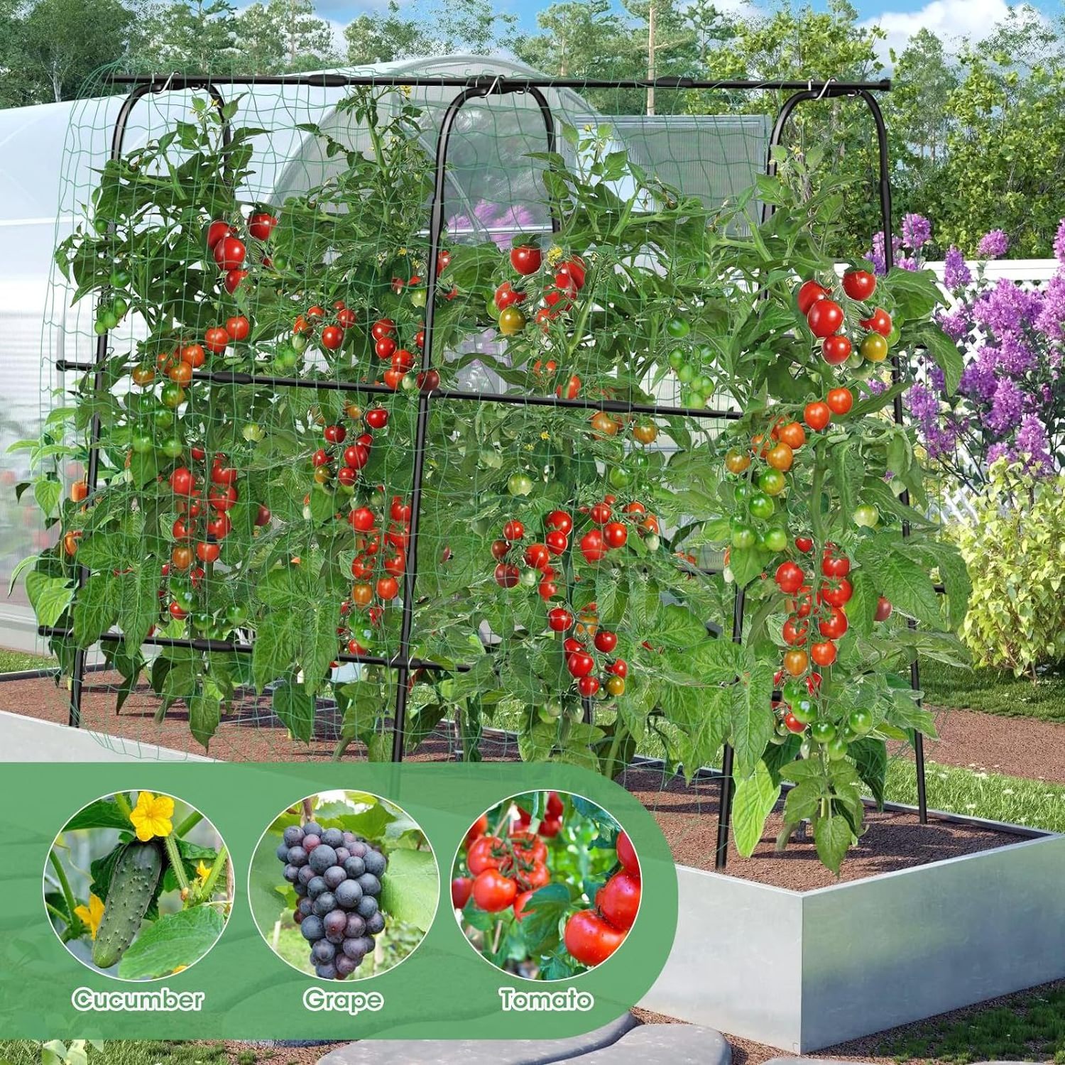 Cucumber Trellis for Garden Vegetable Trellis,Shaped Metal Garden Trellis Arch Plant Grow Support Frame