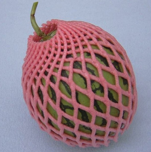 Foam Net for Fruit Protection / net espuma