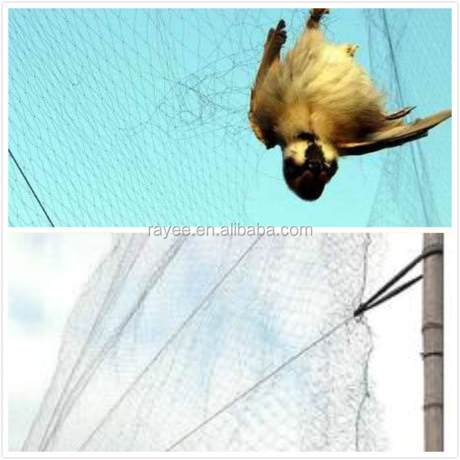 anti bird net bird mist nets 38mm mesh polyester mist nets for bats,110D/2ply x13mmx4x16meter to Saudi Arabia