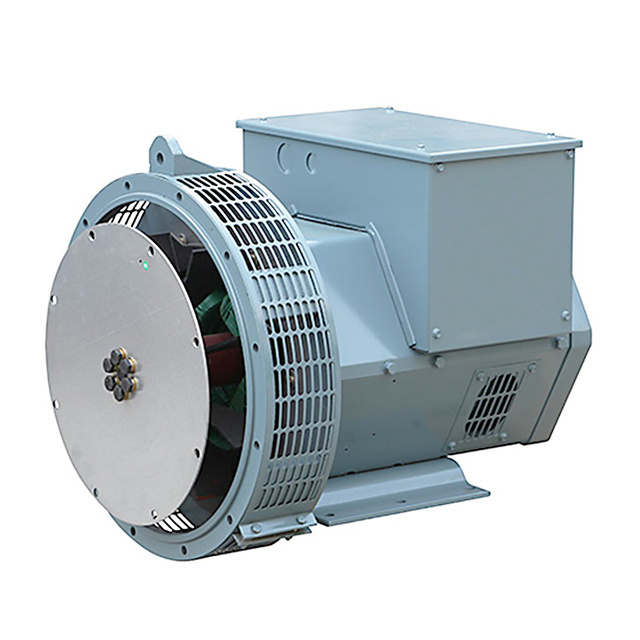 Raygong Generator 8kw Alternator 230v 50hz Single Phase Alternator 8kva Dinamo Elektrik Genset Price