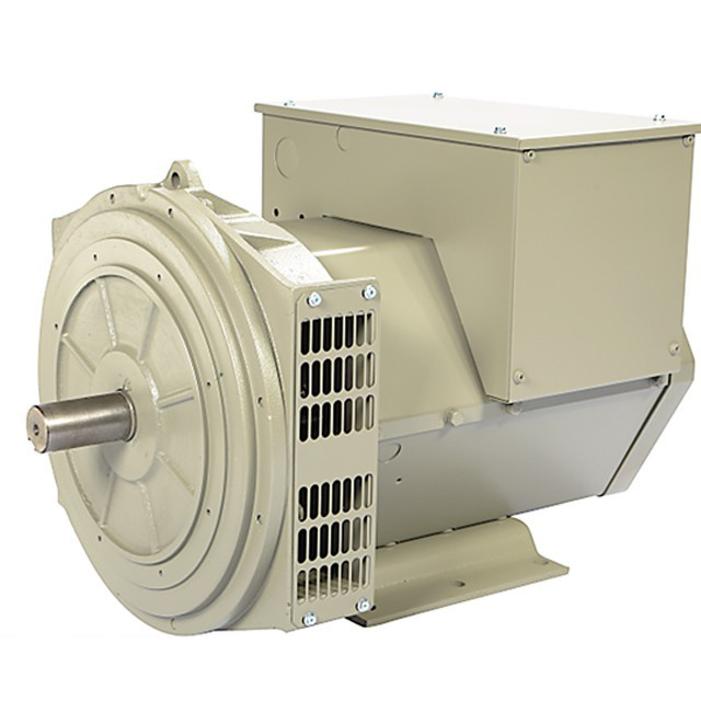 Raygong Generator 8kw Alternator 230v 50hz Single Phase Alternator 8kva Dinamo Elektrik Genset Price