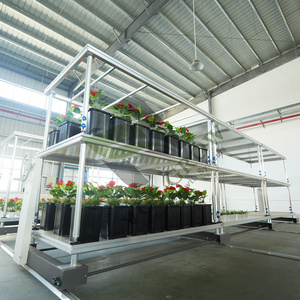 Greenhouse Planting Grow Rack Shelves