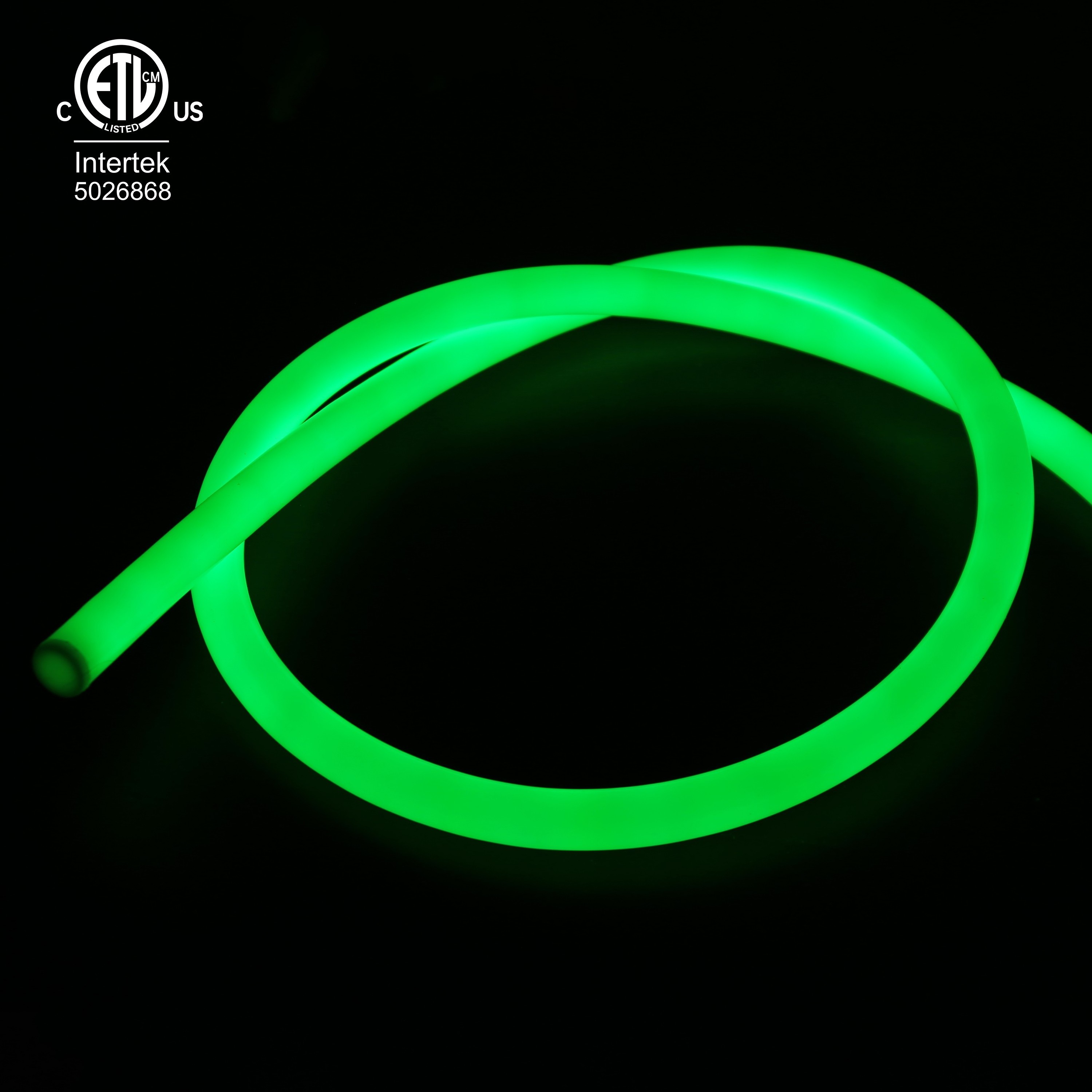 RAYMATES flexible strip light outdoor solar neon led rope light waterproof IP65  DC 24V 10W led neon rope light