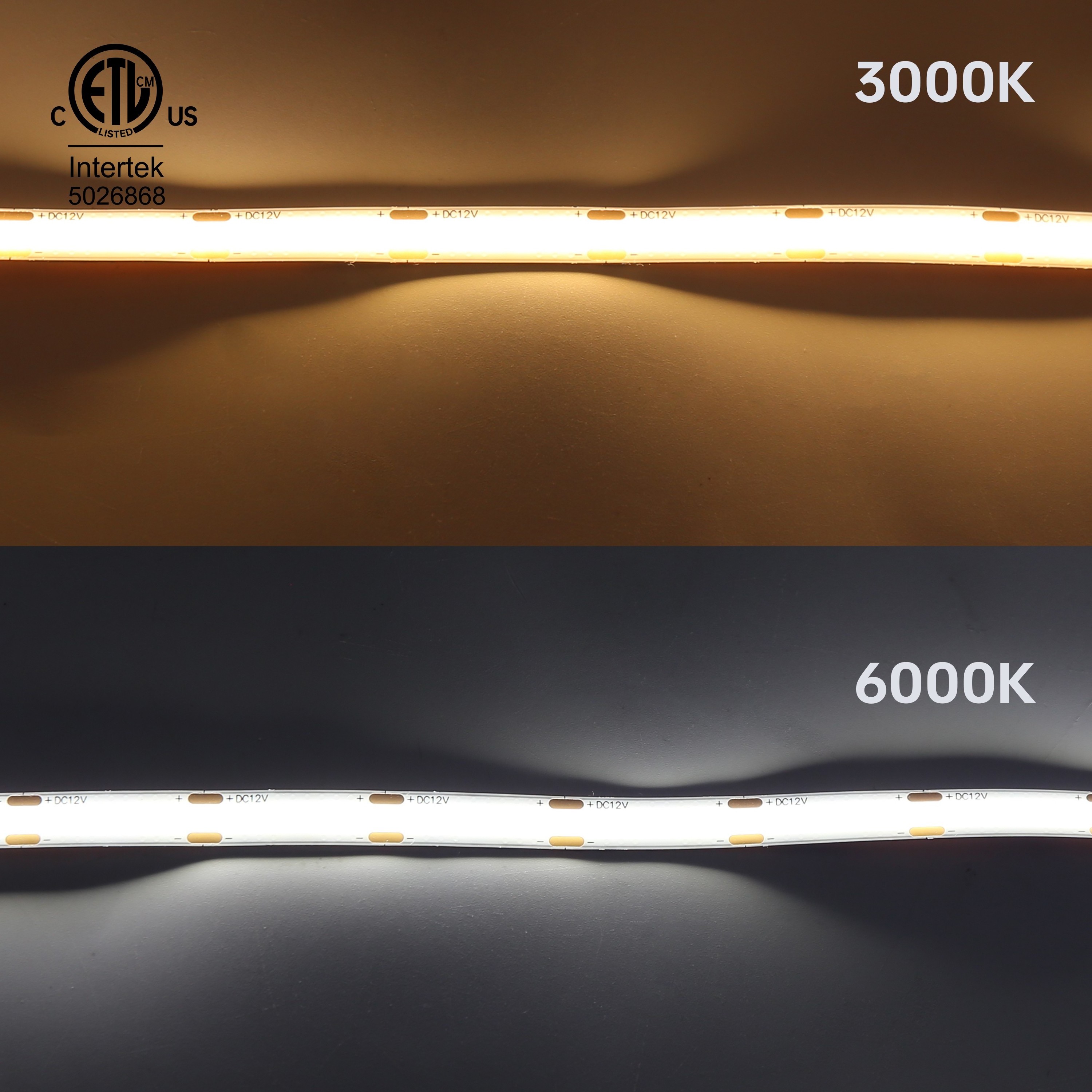 RAYMATES High Density COB light led single color Flexible COB led light 12v 2700k 4000k 6500k COB strip light