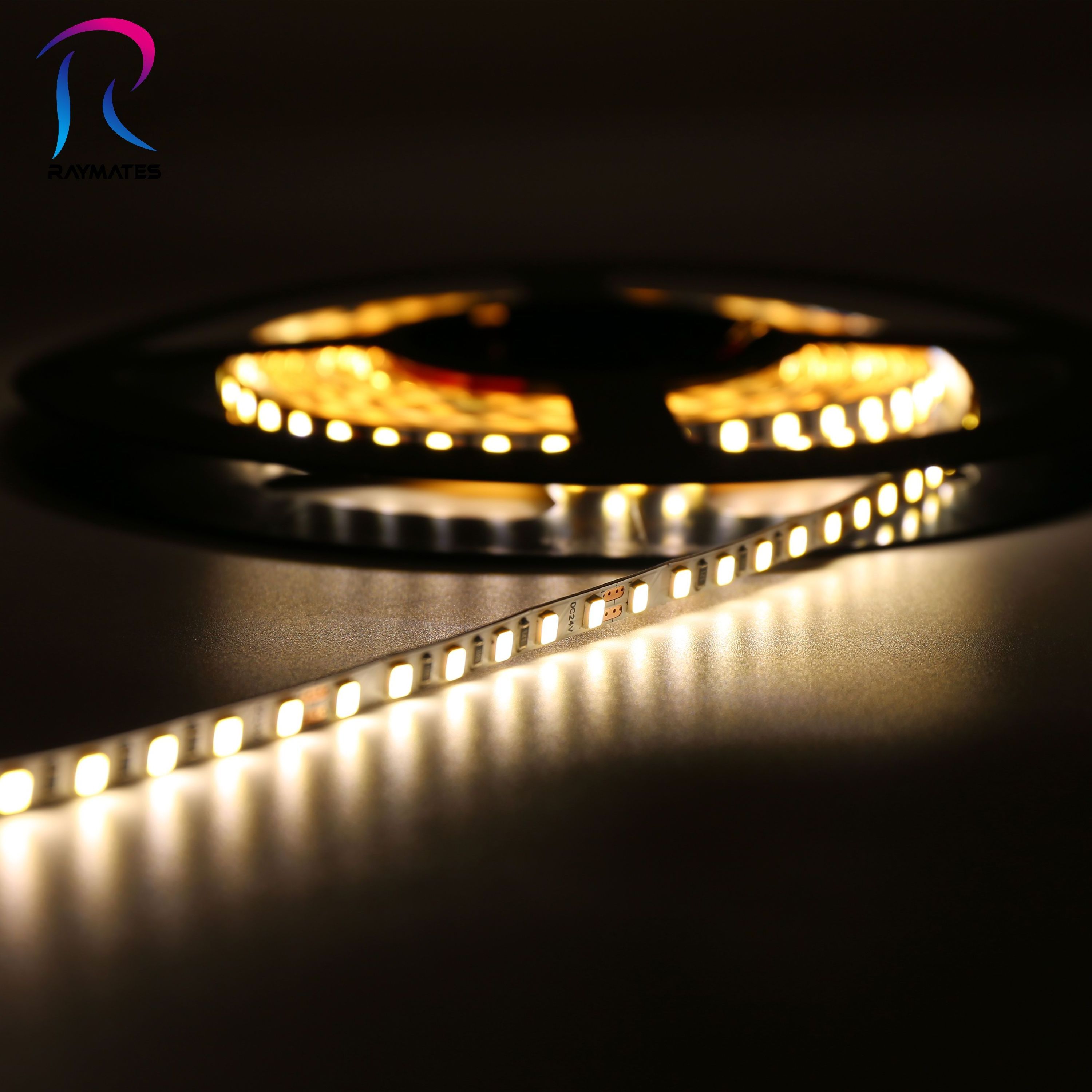 5 year warranty CE ROHS 4000k led strip light 2835 24v 120led led smd light 2835 led strip