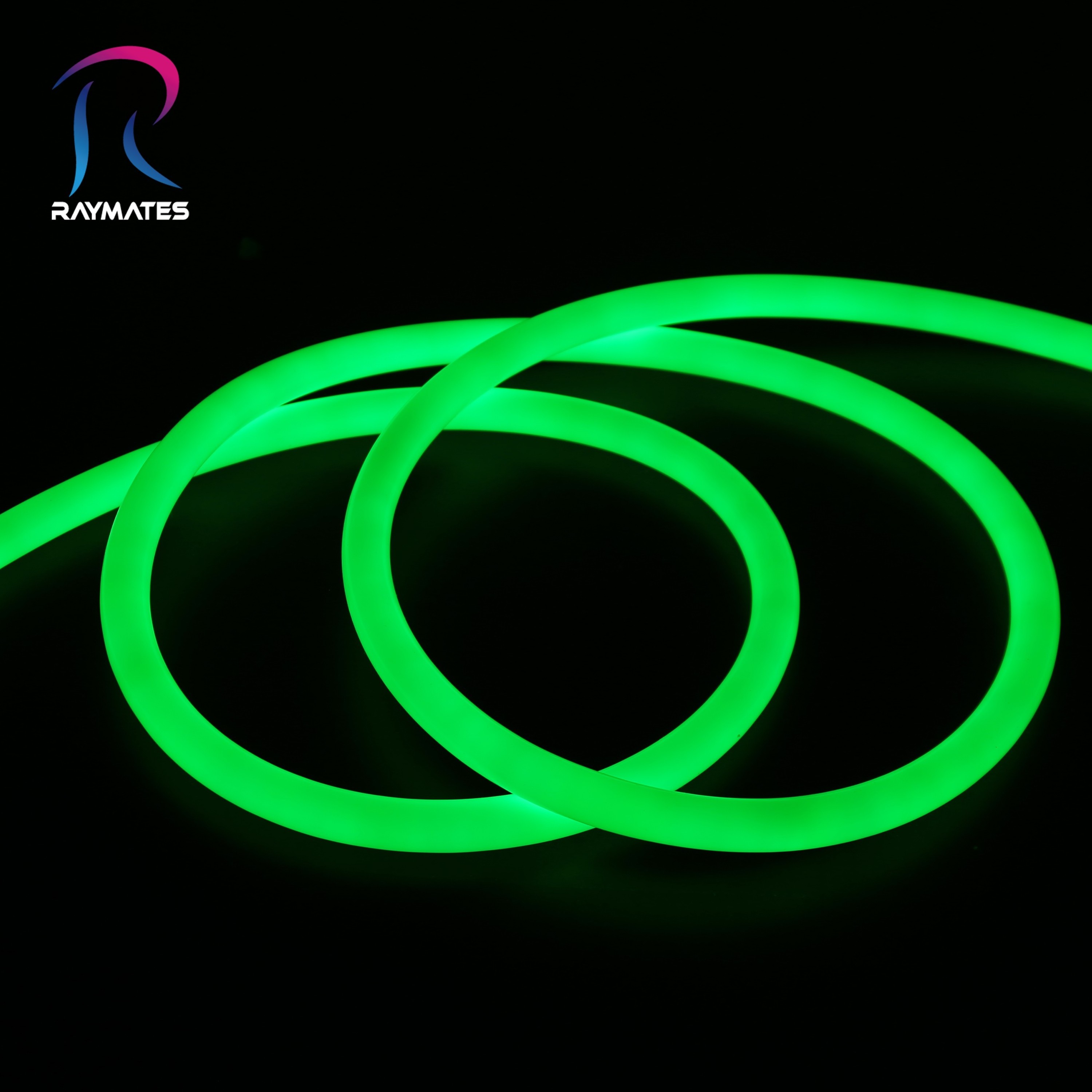 RAYMATES flexible strip light outdoor solar neon led rope light waterproof IP65  DC 24V 10W led neon rope light