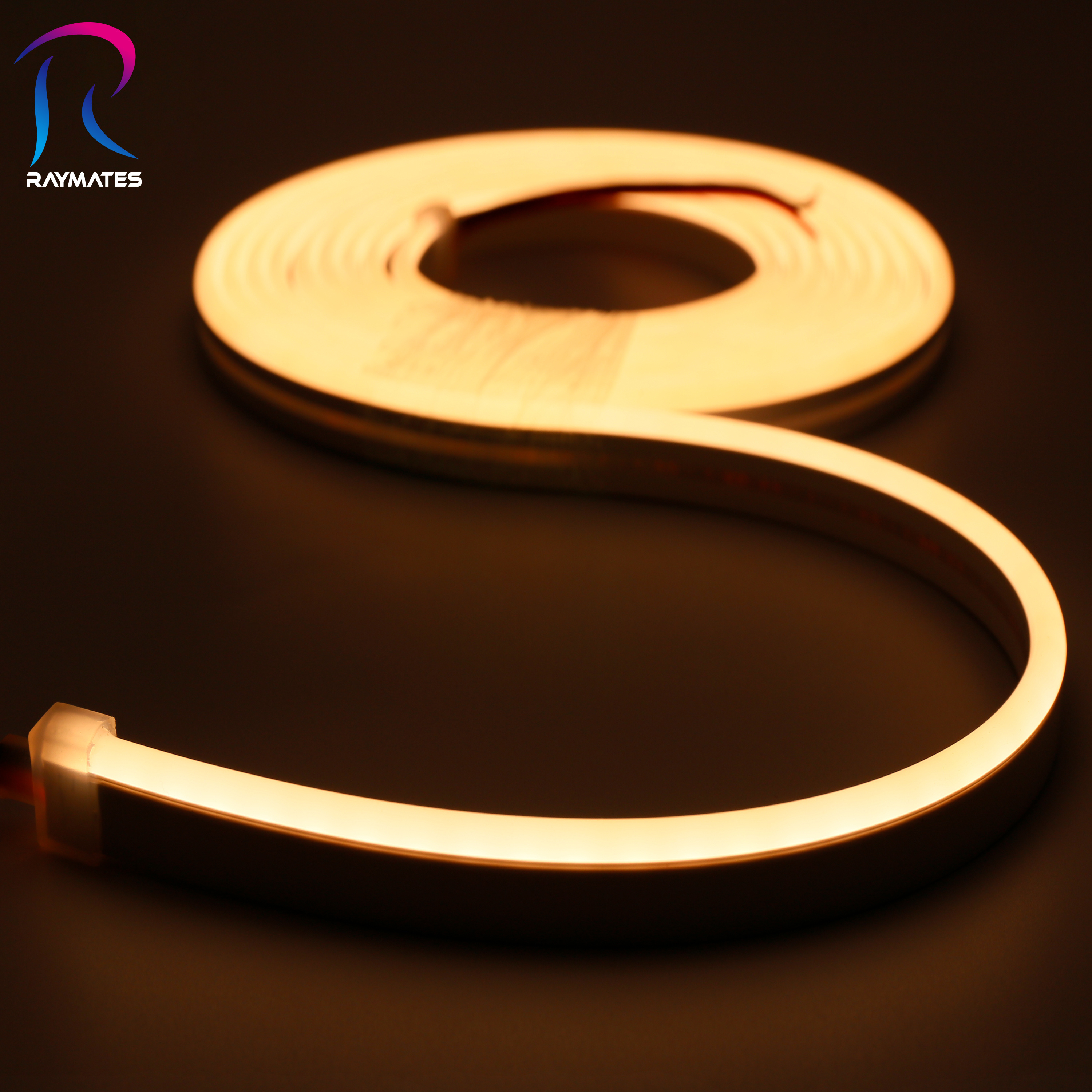 RAYMATES outdoor decoration led neon lamp 0613mm waterproof neon light 24v led silicone tube neon flex light