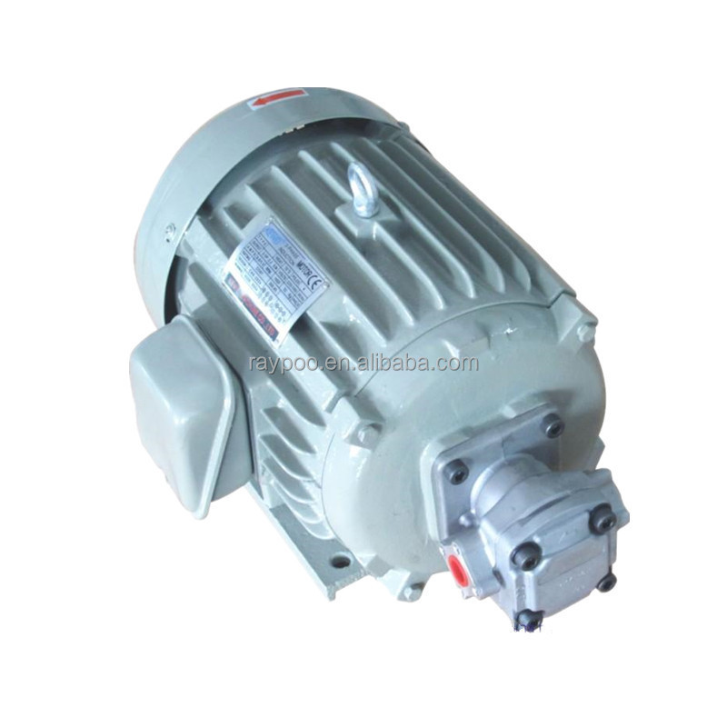 electric motor with hydraulic pump