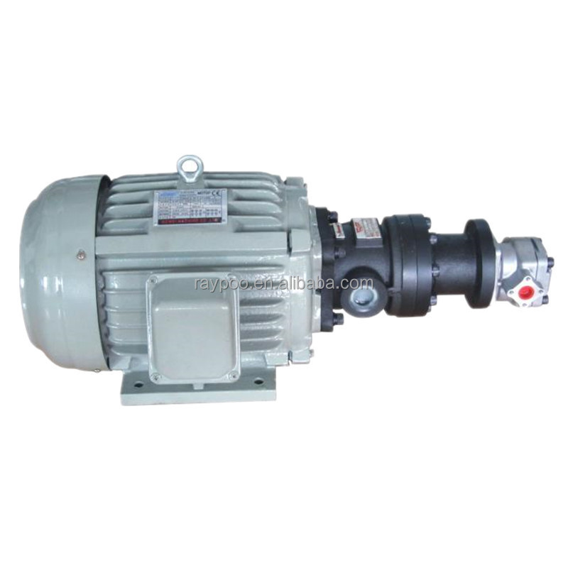 electric motor with hydraulic pump