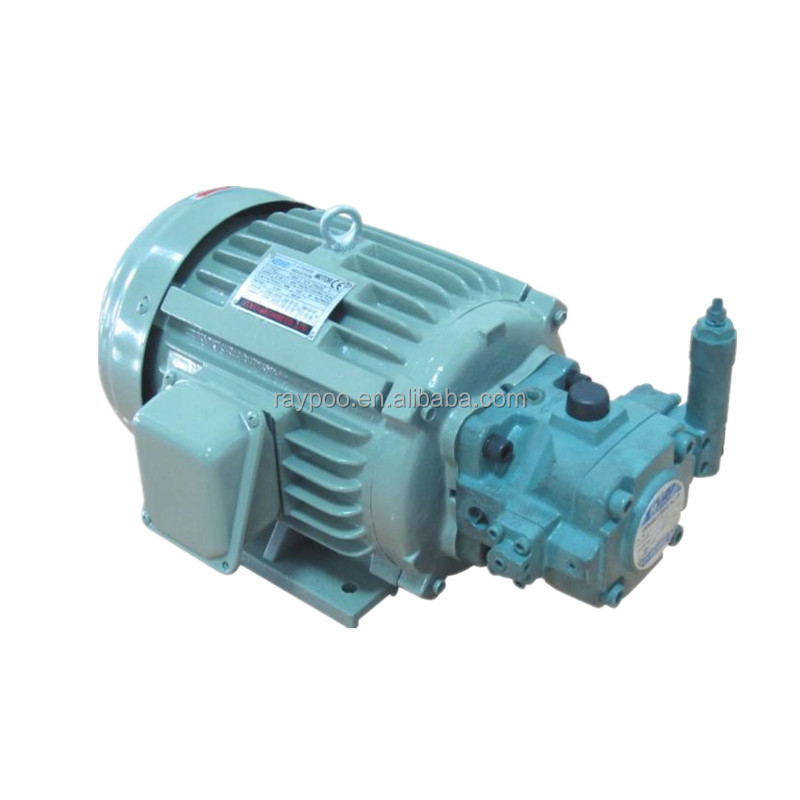 electric motor with hydraulic pump