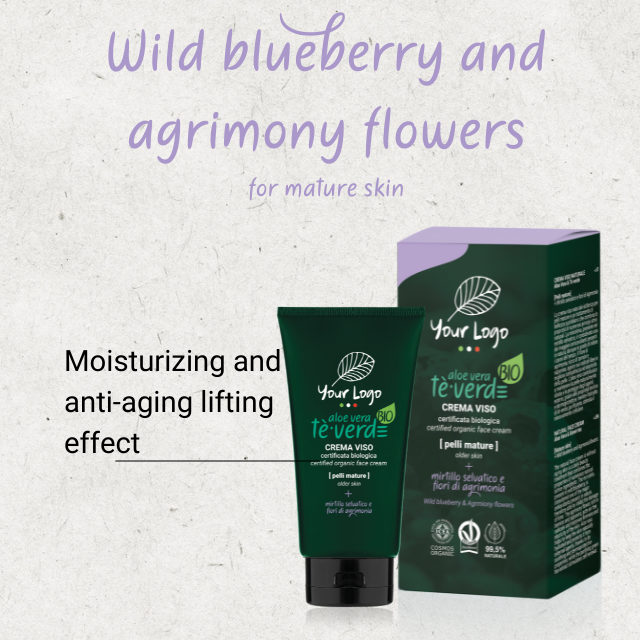 Made in Italy Private Label  Organic 50ml Aloe Vera Blueberry Anti Aging Face Cream for Mature Skin