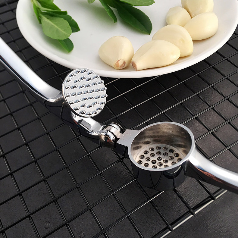 Rayshine kitchen 3in1 stainless steel handheld garlic crusher peeler machine rocker garlic press set