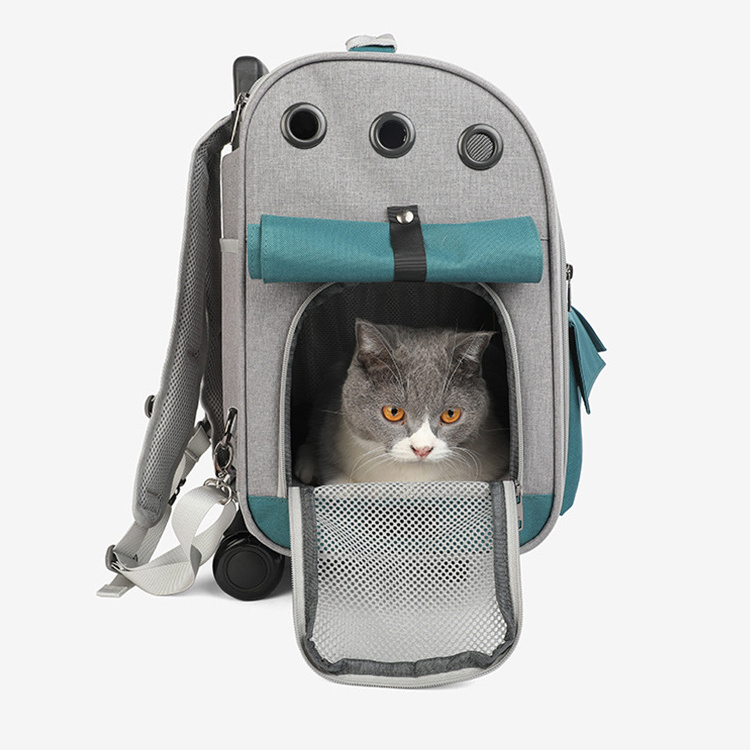 wholesale cat pet carrier pouch transport cat training pet travel cages dog walking bag dog carrier bag other pet carriers