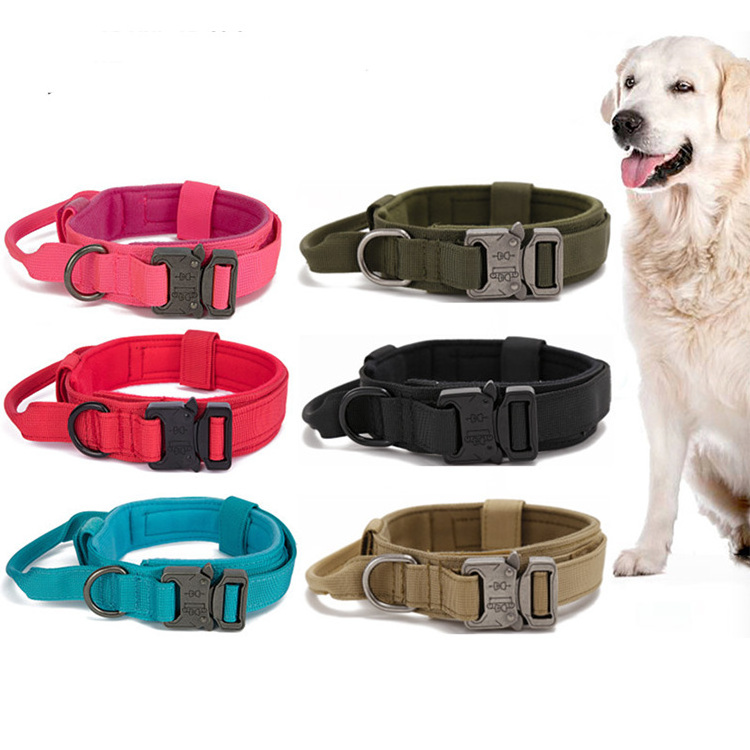 Wholesales setter correas de nylon para collares de perro customer dog training pet collar leash set tactical dog collar charms