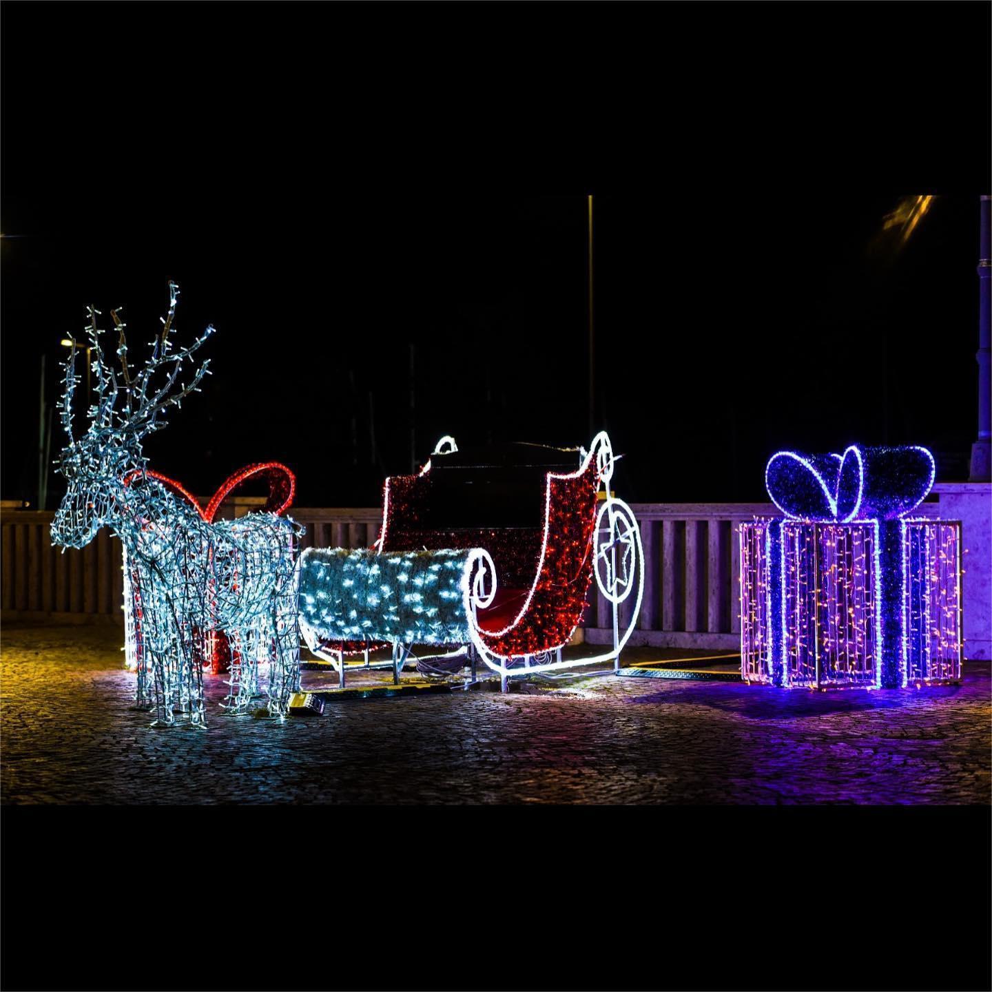 Top quality Animated Outdoor Christmas Santa Claus Sleigh Reindeer With Led Light Decoration