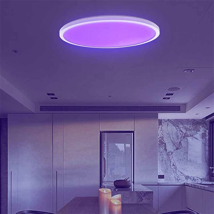 TUYA rgb kitchen bathroom children bedroom chandeliers decorative panel lamp recessed smart flush mount modern led ceiling light