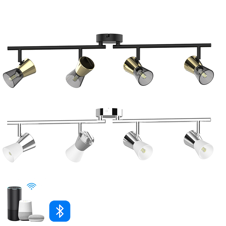 Modern Brushed Nickel G9 Indoor Smart Adjustable Glass Hotel Flush Mount LED Ceiling Spot Track Lighting