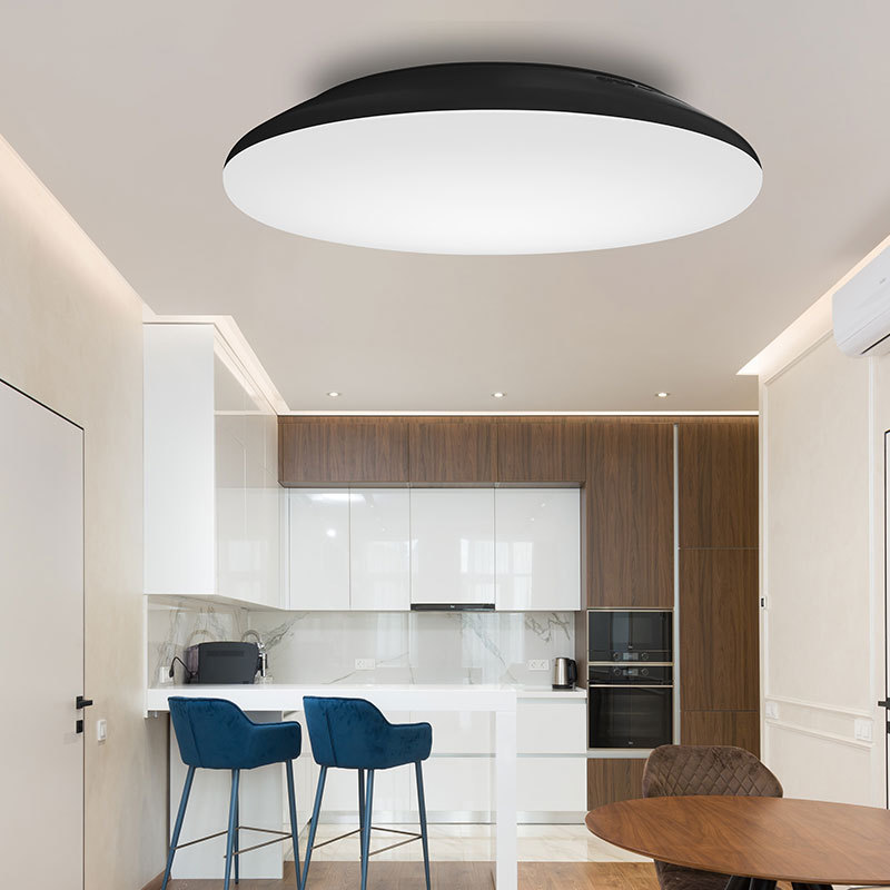 Oyster Flush Mount Ceiling Led Light IP65 Decorative Smart Led Ceiling Light For Living Room