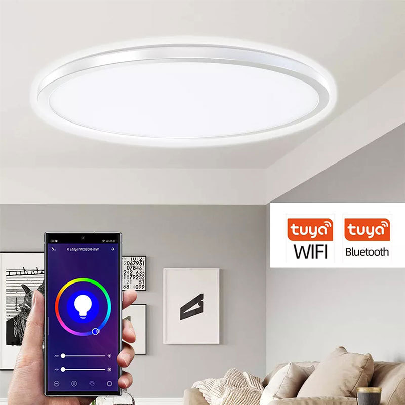 Smart Home Light Homekit Wifi Voice APP Alexa Tuya Remote Sensor Control Zigbee LED ceiling light