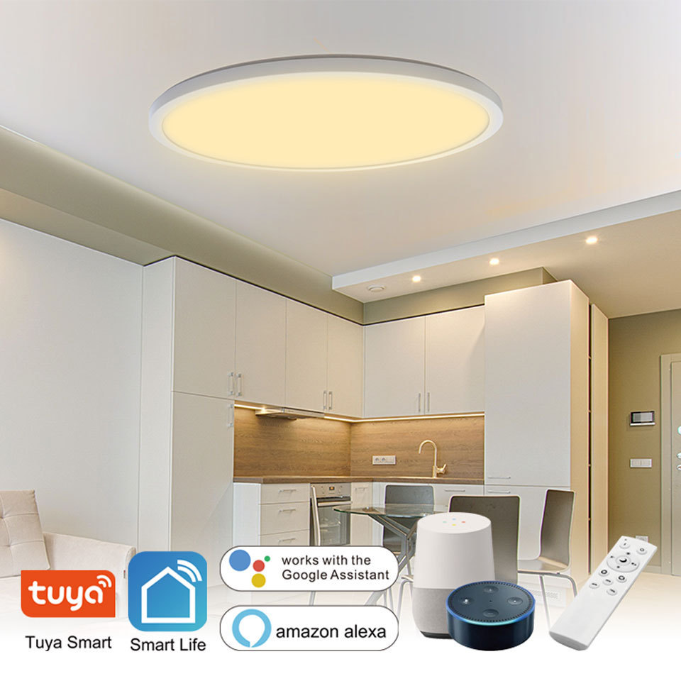 Smart Home Light Homekit Wifi Voice APP Alexa Tuya Remote Sensor Control Zigbee LED ceiling light