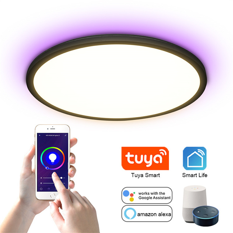 Flush Mount Easy Install Round Panel Lamp Kitchen Bedroom Hallway RGB Dimmable Super Slim LED Ceiling Light