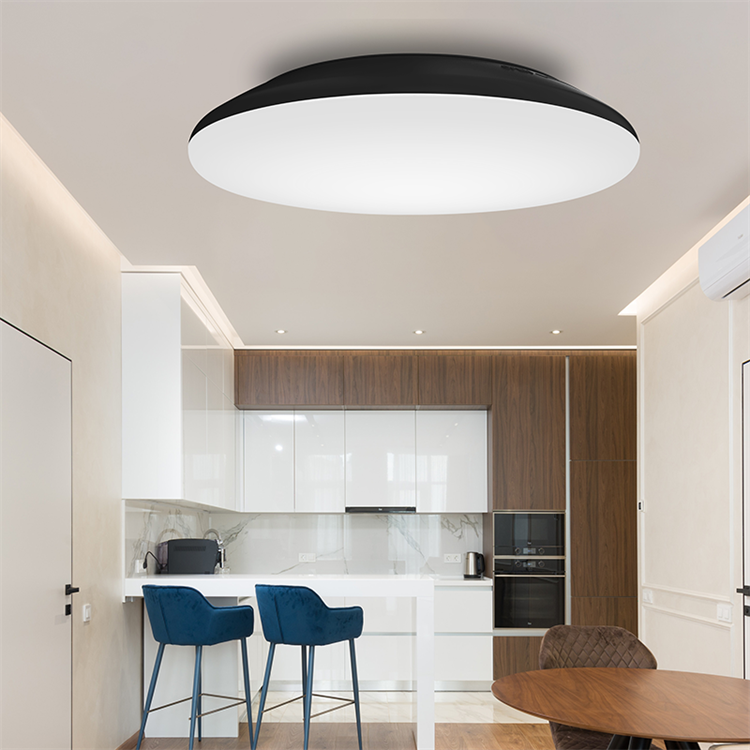 IP54 dimmable smart ceiling led light flush mount led ceiling light modern for living room