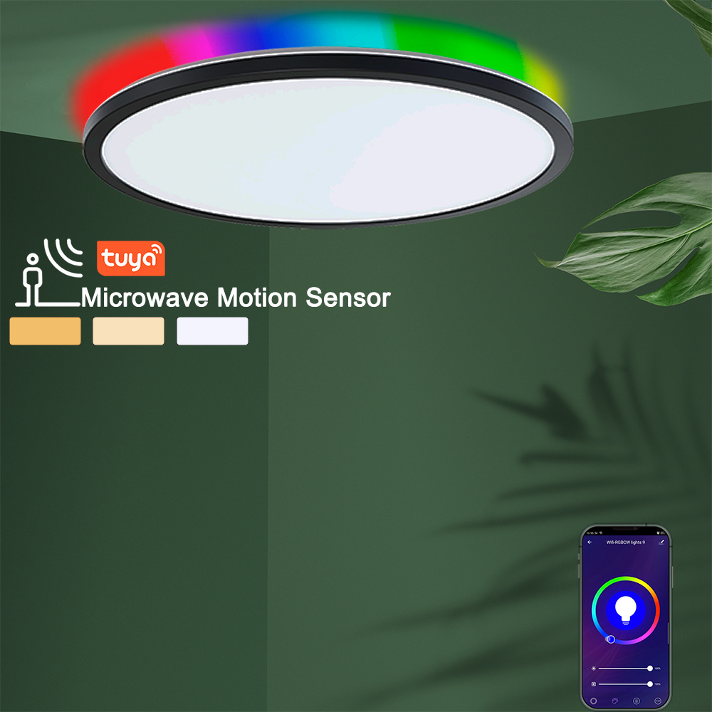 Modern RGBCW 18W 25W 300mm WIFI Smart Tuya Alexa Google Home Assistant LED Round ceiling light flush mount