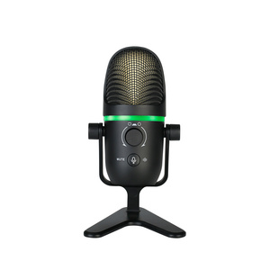 Factory Direct Sales Professional Podcast Condenser Microphone Meter Musical Instrument Suitable For All Kinds Of Equipment