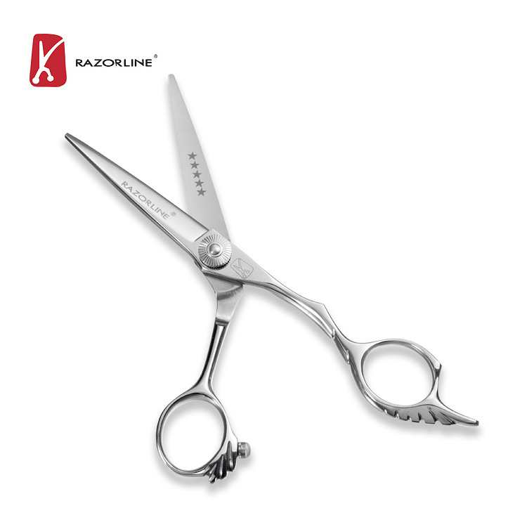 AK21 Scissors Hair Cutting Barber Japan440C Professional Hairdressing Scissors