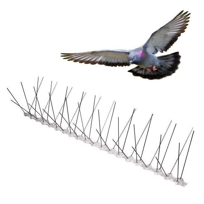 2024 manufacturer direct sale 50cm stainless steel Anti Pigeon thorn custom anti bird spikes for pest control