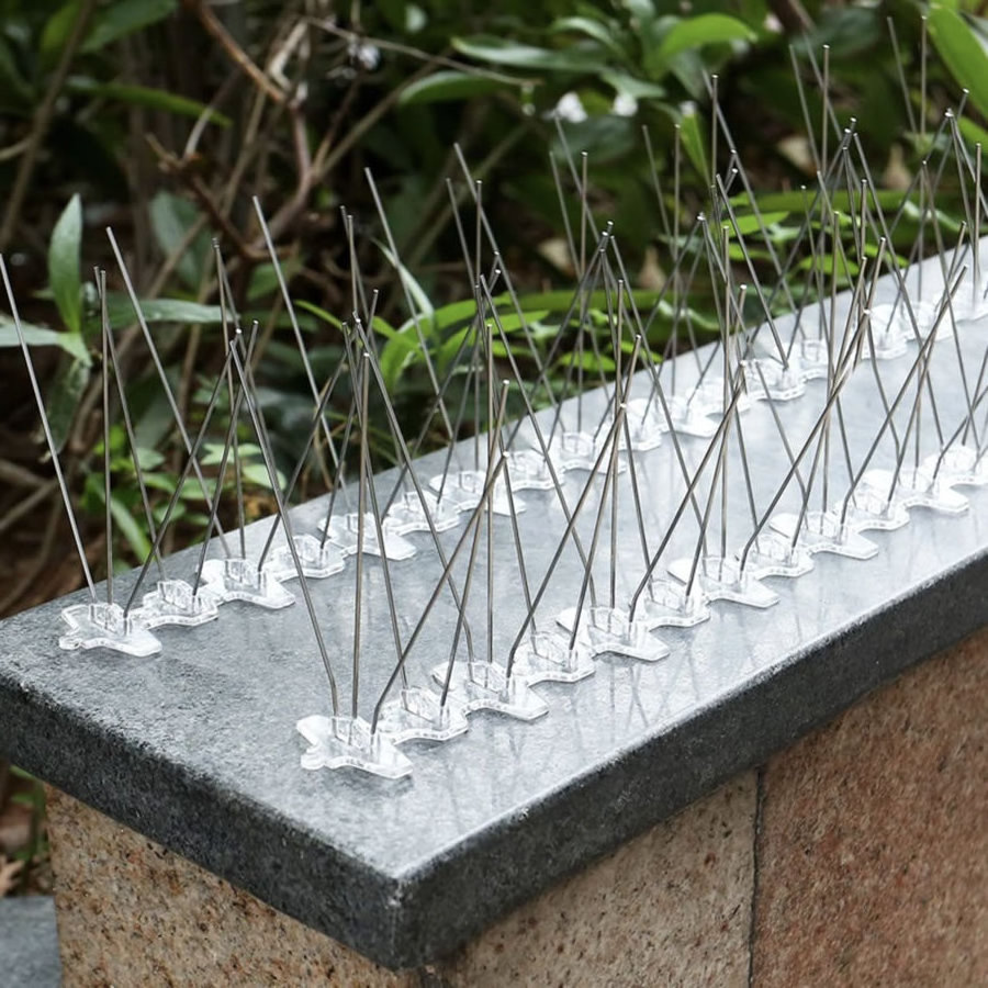 2024 manufacturer direct sale 50cm stainless steel Anti Pigeon thorn custom anti bird spikes for pest control