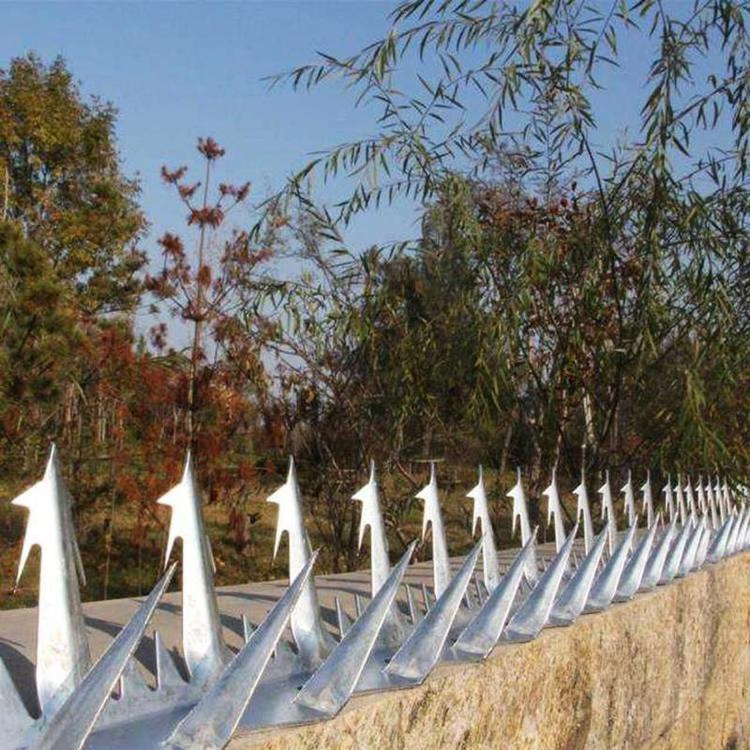 2024 Anti-Climb High Security Sharp Razor Wall Spikes on Top of Wall and Fence/anti climb fence spikes