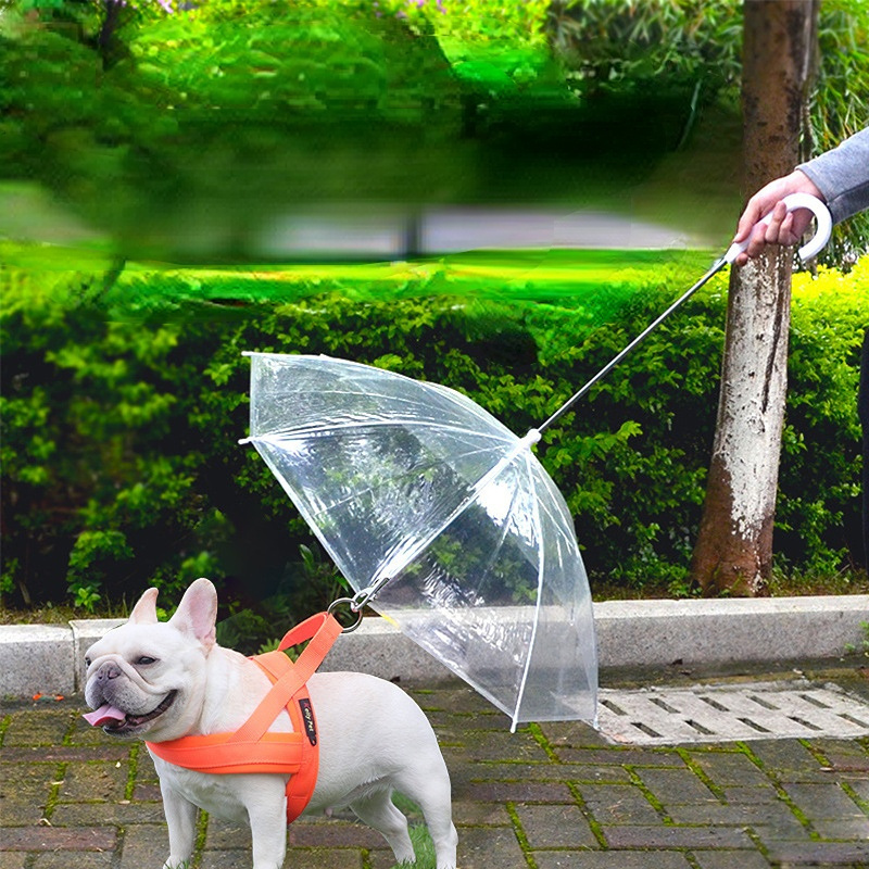 Pet supplies exploding pet umbrella Teddy small dog umbrella with leash for walking dogs