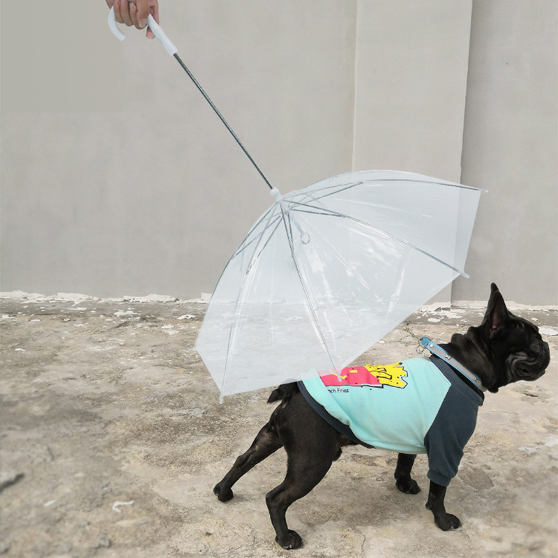 Pet supplies exploding pet umbrella Teddy small dog umbrella with leash for walking dogs