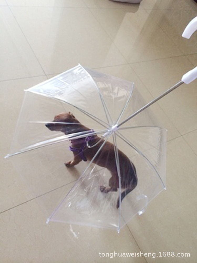 Pet supplies exploding pet umbrella Teddy small dog umbrella with leash for walking dogs