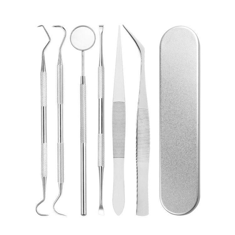 Premium Quality Custom Stainless Steel Dental Tools Kit Surgical Cleaning Teeth Tools