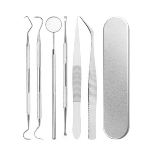 Premium Quality Custom Stainless Steel Dental Tools Kit Surgical Cleaning Teeth Tools