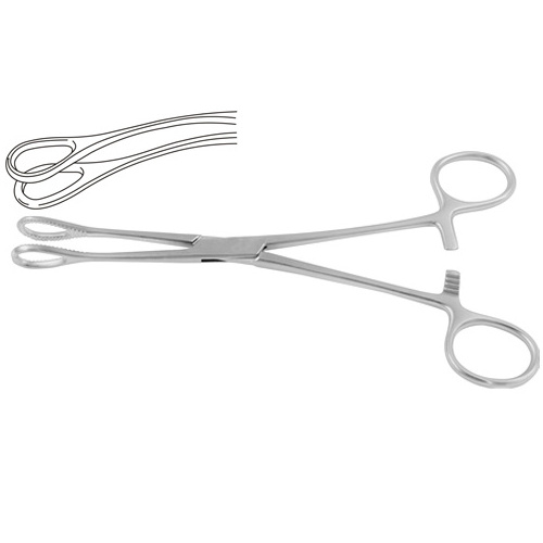 Stainless Steel Foerster Sponge Holding Forceps Curved - Smooth Jaw 24.5 cm - 9 3/4