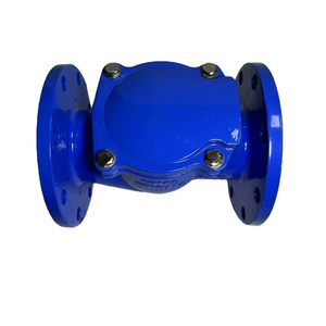 RCV Rubber Disc Hydraulic General Swing Check Valve Ductile Iron 3" Flapper Type