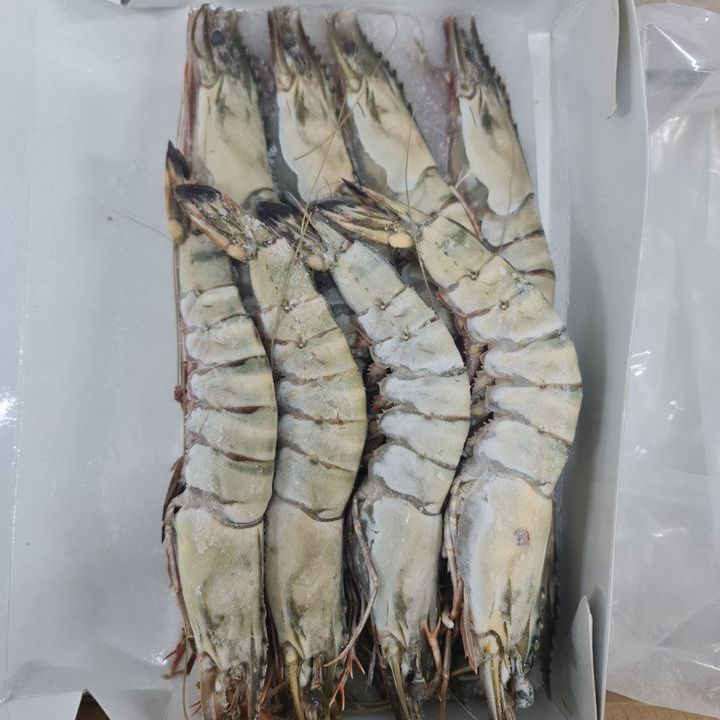 Good Packing Seafood Skinless Bulk Vacuum Pack IQF frozen pud shrimps Frozen Shrimp from Vietnam +84947900124