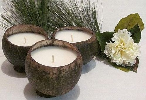 Best Price Coconut Shell Scented Candle Coconut Candle In Husk With Wood Wicks From Viet Nam 0084947900124