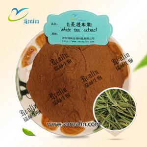 Camellia Sinensis O Ktze Natural Herbal White Tea Extract Powder