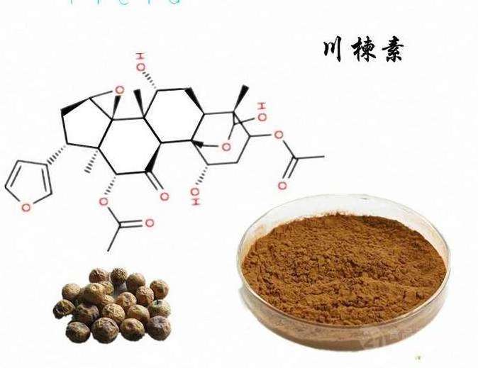 Factory Supply High Quality Neem Tree Extract Toosendanin 1% Toosendanin Powder